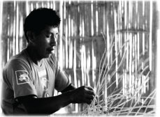 Basket Weaving, Martin Muir