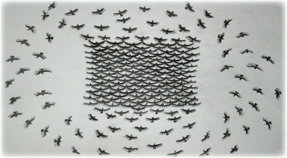 Bird sketch, Fiona Morton